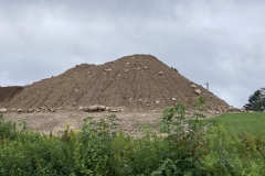 Dirt